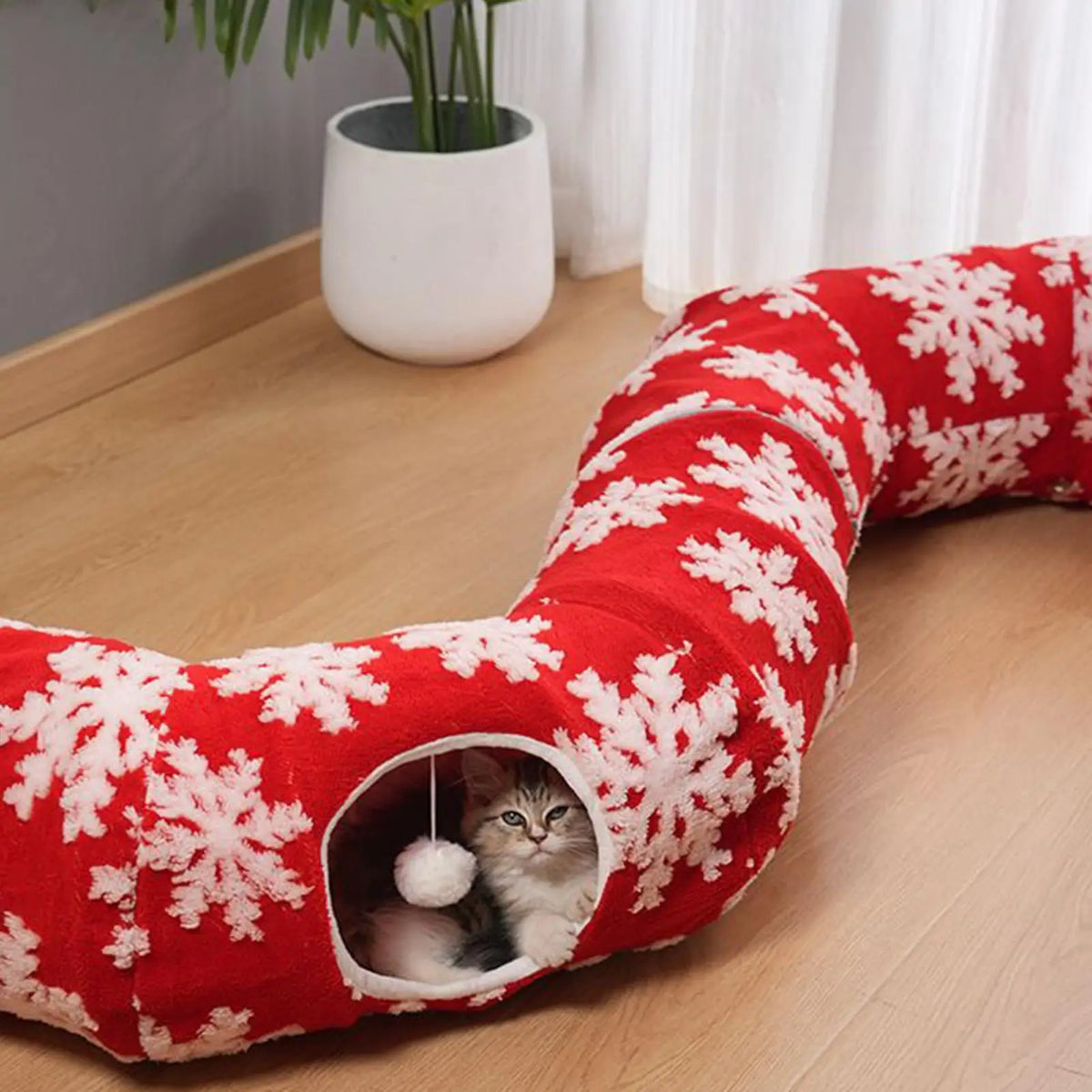 Christmas Tree Tunnel